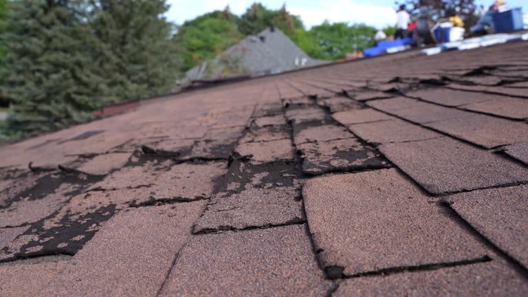 Best Roof Replacement  in USA